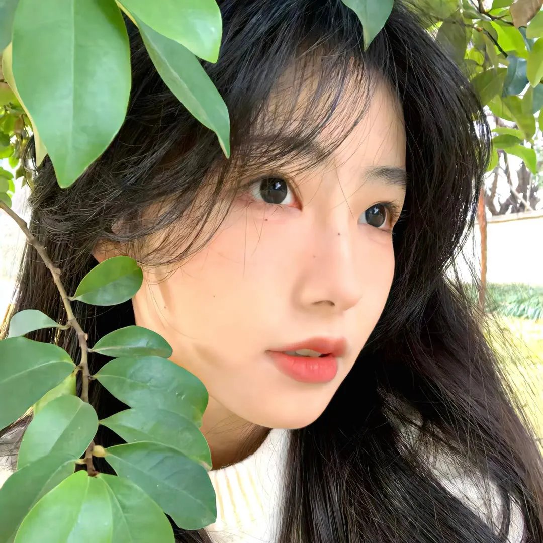 贞子DX